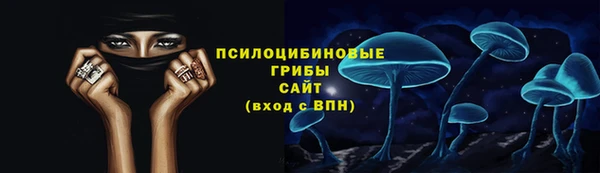 гидра Медвежьегорск