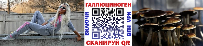 Псилоцибиновые грибы GOLDEN TEACHER  где продают наркотики  hydra как войти  Сухой Лог 